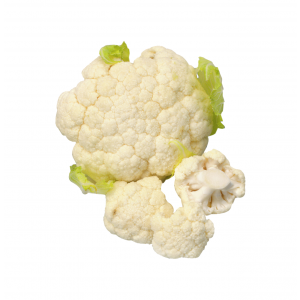 Conopida, import