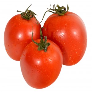 Rosii Roma prunisoare