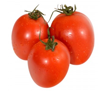 Rosii Roma prunisoare
